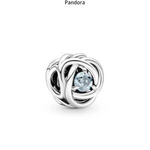 Pandora Charms